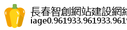 長春智創網站建設網絡